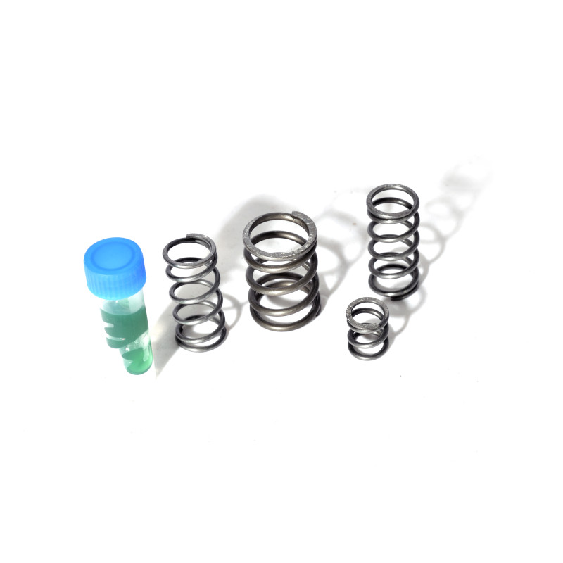 Compression spring kit T3pa-Pro-V2